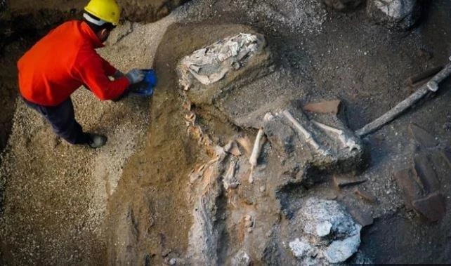 Σπάνια ανακάλυψη: Βρέθηκε στα συντρίμμια της Πομπηίας άλογο με όλο τον εξοπλισμό του (εικόνα)